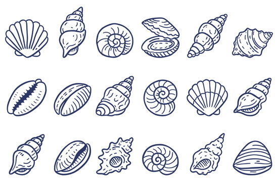 Hand drawn seashell outline icon set