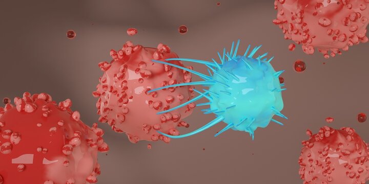 Cytotoxic T cells (blue) attack a cancer cell (red). Killer T-cell or B-cell concept. CAR T-Cell Therapy. White blood cells. Natural killer cell. Photo stock