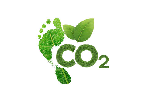 green leaf growing footprints, co2 symbol isolated on White Background. Reduce CO2 emission concept.Clean and friendly environment without carbon dioxide emissions.