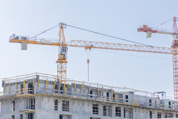 Deweloperka © FotoKieltyka.pl