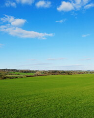 Naklejka premium Lush green field and vivid blue sky in the countryside