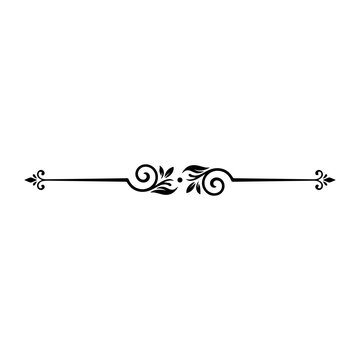 decorative divider element. elegant divider line decorative.