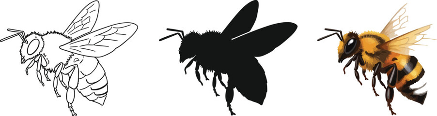 Fototapeta premium Collection of bee illustrations showcasing outline silhouette and realistic styles perfect for educational resources and nature-themed designs