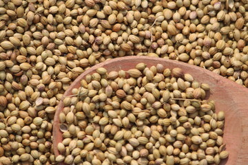 Fototapeta premium Coriander seeds close up texture background