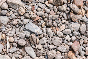 Mixed pebbles forming a rough natural ground texture. Varied stones scattered across a dry earthy surface. Rustic river rock pattern under bright sunlight. 