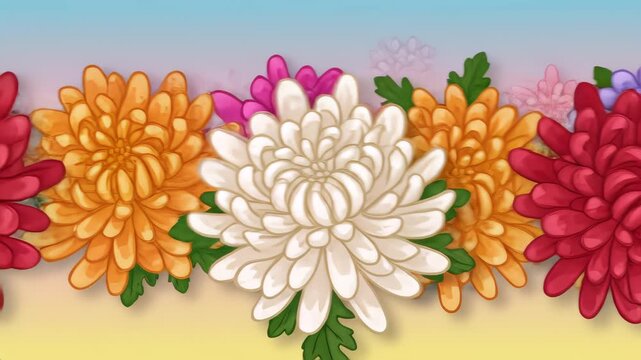 A vibrant and colorful illustrated chrysanthemums flowers cartoon seamless looped background, horizontal motion with parallax