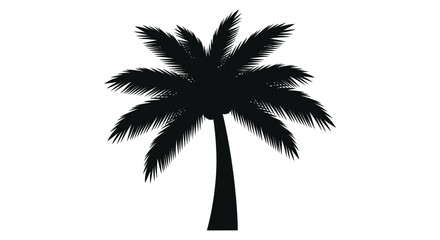 A striking black palm tree against a white backdrop silhouette © Rabbi