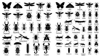 Wildlife Insect Silhouette Icon Set Bug Nature Entomology Vector Collection