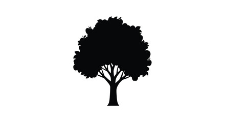 A dark full tree stands against a white background silhouette © MdRabby