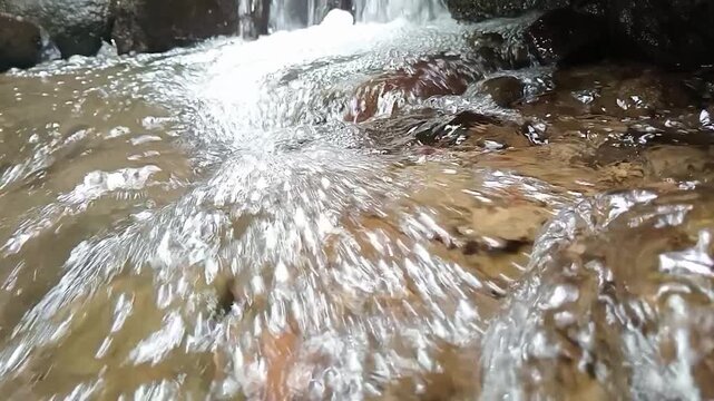 Fresh Mountain Stream Flowing Over Wet Rocks