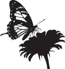 butterfly vector illustration © Ibrahim