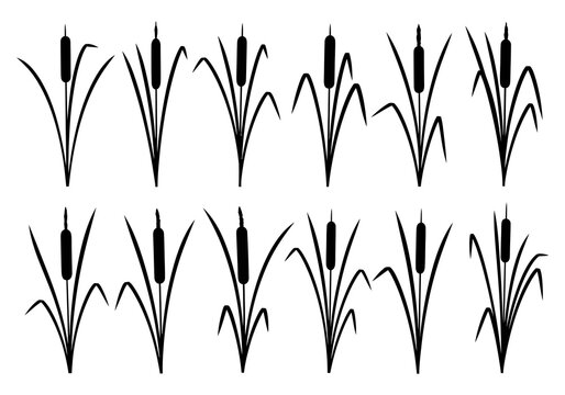 Set of black silhouette cattail plants icons