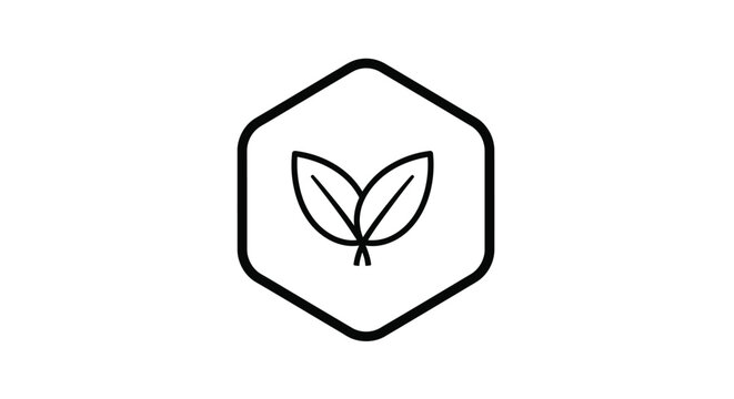 Hexagonal frame containing a delicate leaf design silhouette