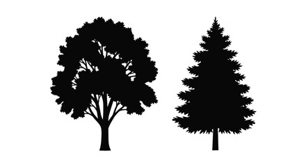 Two trees in stark contrast a detailed black silhouette © RKGolam