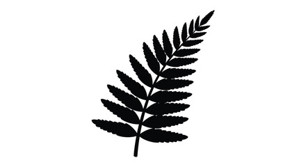 A striking black fern frond against a white background silhouette