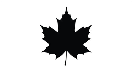 A striking black silhouette of a maple leaf against a white background © RKGolam