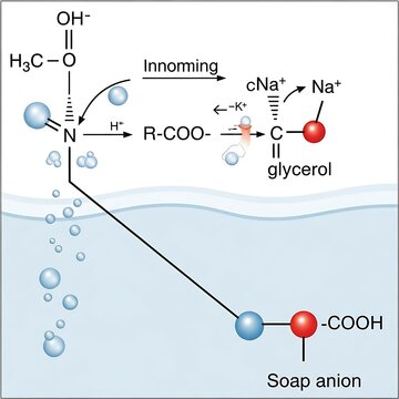 Soap Anion Formation via Saponification Process.