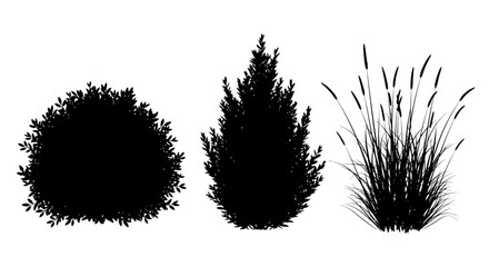 Collection of Bush and Grass Silhouettes on Isolated White Background © Ahmat