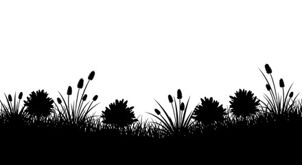 Seamless horizontal border silhouette of various grass and reed plants on an isolated white background. © Ahmat