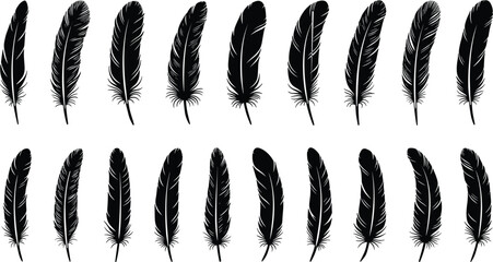 Collection of 18 black feather silhouettes in vector illustration style, isolated decorative bird quill designs for graphic design, tattoo art, and creative projects © Abida