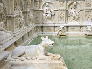 Obraz premium Detail of the Fonte Gaia fountain in Piazza del Campo, featuring the She-wolf marble sculpture and ornate Renaissance reliefs, Siena, Tuscany, Italy