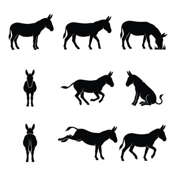 Donkey Silhouette Collection - Various Poses and Actions Vector Set