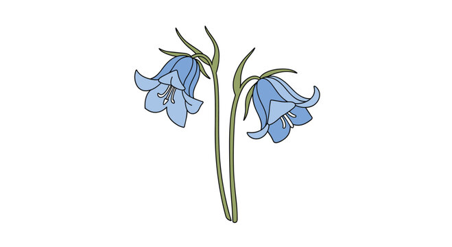 Elegant illustration of two bluebell flowers on green stems with long narrow leaves depicted in a soft color palette for garden or nature themes.