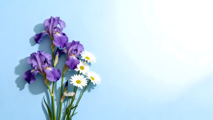 Fototapeta premium Purple and white flowers on blue background