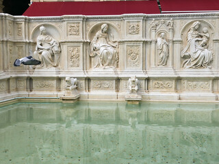 Obraz premium The ornate marble reliefs of Fonte Gaia fountain with water reflections and a flying pigeon in Piazza del Campo, Siena, Tuscany, Italy