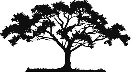 Obraz premium Black silhouette of a tree on white background