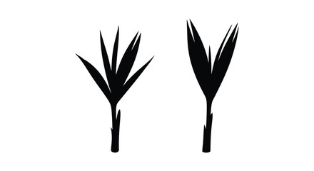 Two stylized plant shapes depicted as a striking black silhouette © MD
