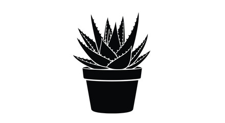 A striking aloe vera plant in a pot a dark silhouette © MD