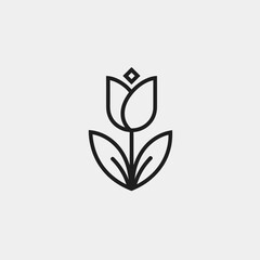 Fototapeta premium vector illustration of a green leaf