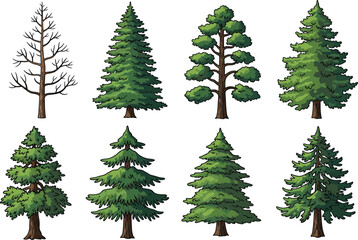 Fototapeta premium Vector tree illustration featuring eight diverse designs including leafless branches, conical evergreens, rounded foliage clusters, and stylized seasonal variations