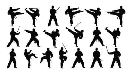 Various silhouettes of people practicing karate © SILHUETTECHEMBER
