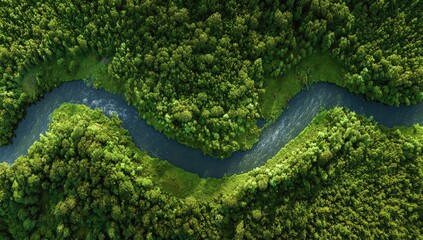 Fototapeta premium Aerial View of Winding River Through Lush Green Forest.