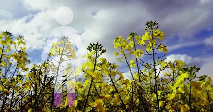 Animated figure fading in over yellow blooms, moving down, revealing purple legs for agriculture