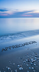 Fototapeta premium Scenic ocean beach with waves and seashells. The word 