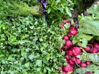 Fresh green herbs lettuce and red radish at a market © Rubin