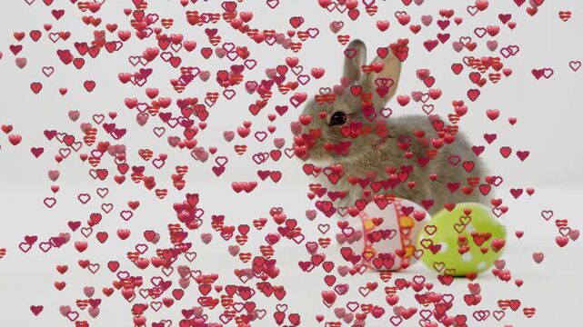 Heart stream rising from bottom, hearts filling frame while rabbit moving by eggs, forming overlay