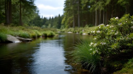 Obraz premium A serene river flows through a lush green forest with wildflowers blooming on the bank under natural daylight