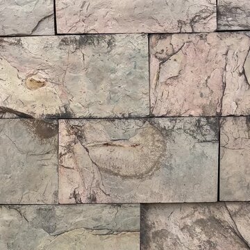 Rustic Weathered Masonry Wall with Organic Mineral Textures and Earthy Tones