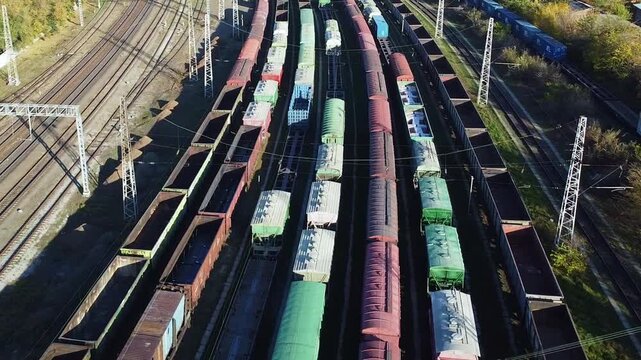 Drone aerial view of multiple freight trains lined up on parallel railway tracks in large rail yard. Rail logistics, cargo transportation infrastructure, freight railway operations