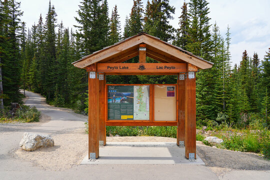 Tourist information at the trailhead of Peyto Lake in Banff National Park, Canadian Rockies, Alberta
