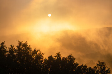 Golden sunrise over fog covered hills in Silicon Valley with sun glowing through thick mist and tree silhouettes creating a warm atmospheric landscape