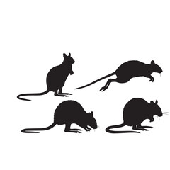 Fototapeta premium Kangaroo Rat Silhouette Set – Black and White Vector IllustrationKangaroo Rat Vector Silhouettes Collection – Desert Rodent ClipartKangaroo Rat Silhouette Pack – Wildlife Black White Vector