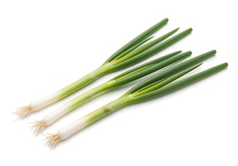 Fresh green leeks with white base and long slender leaves displayed naturally