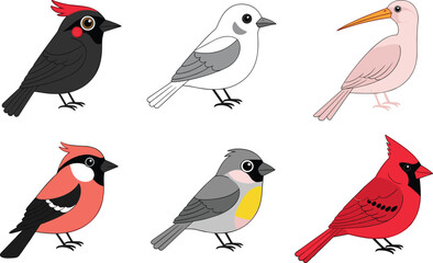 Colorful songbirds collection cardinal bullfinch tit sparrow and other small birds vector illustration set © EdGe Creative