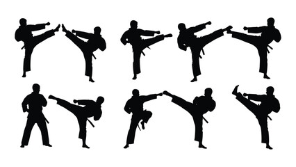 A group of people performing various karate kicks © SILHUETTECHEMBER