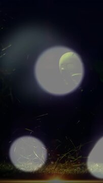 Vertical video: Left bokeh rising causing ROMANIA ball tilting off sports field, revealing embers